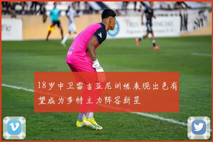 18岁中卫雷吉亚尼训练表现出色有望成为多特主力阵容新星